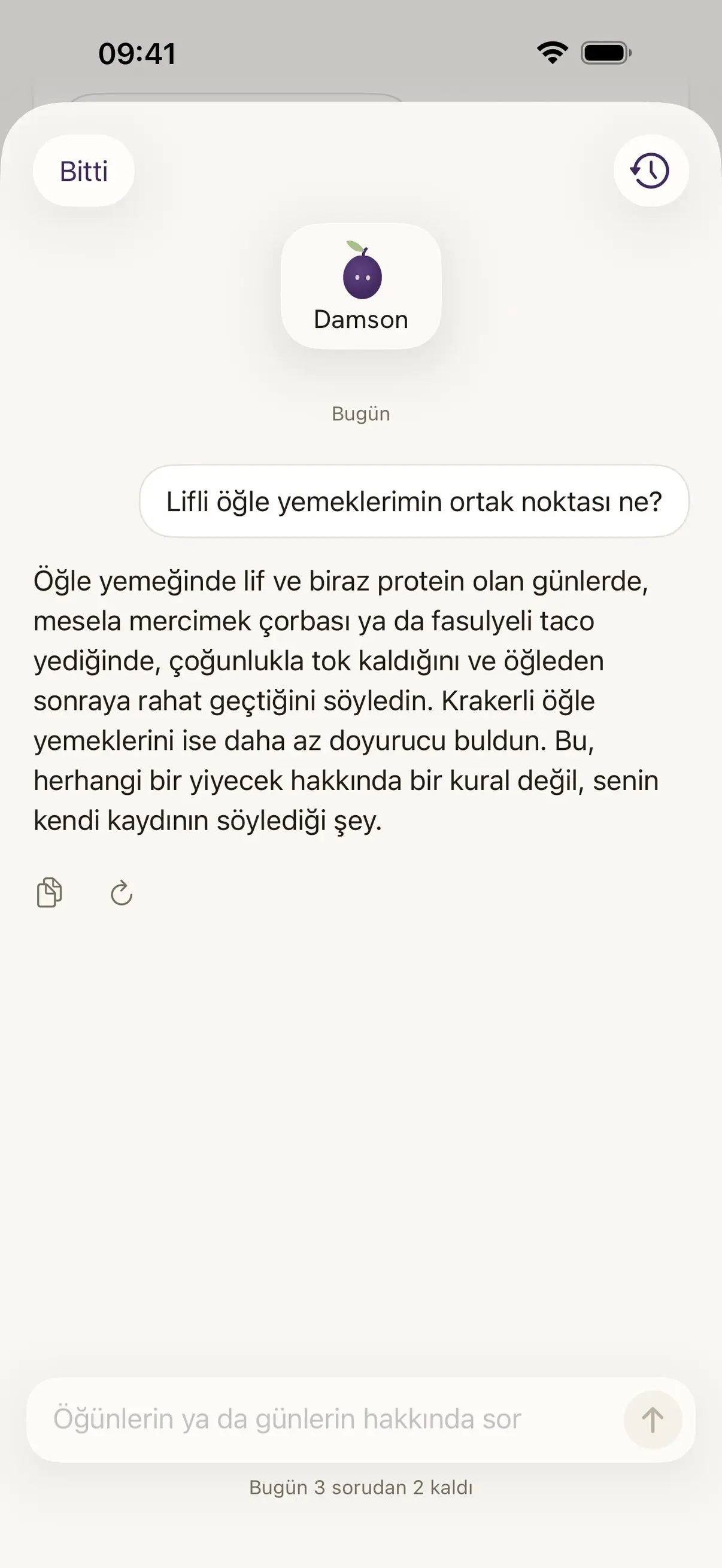 Damson'a sor ekranı. Lifli öğle yemeklerinin ortak noktasını soruyor, yanıt kendi kayıtlarından geliyor.